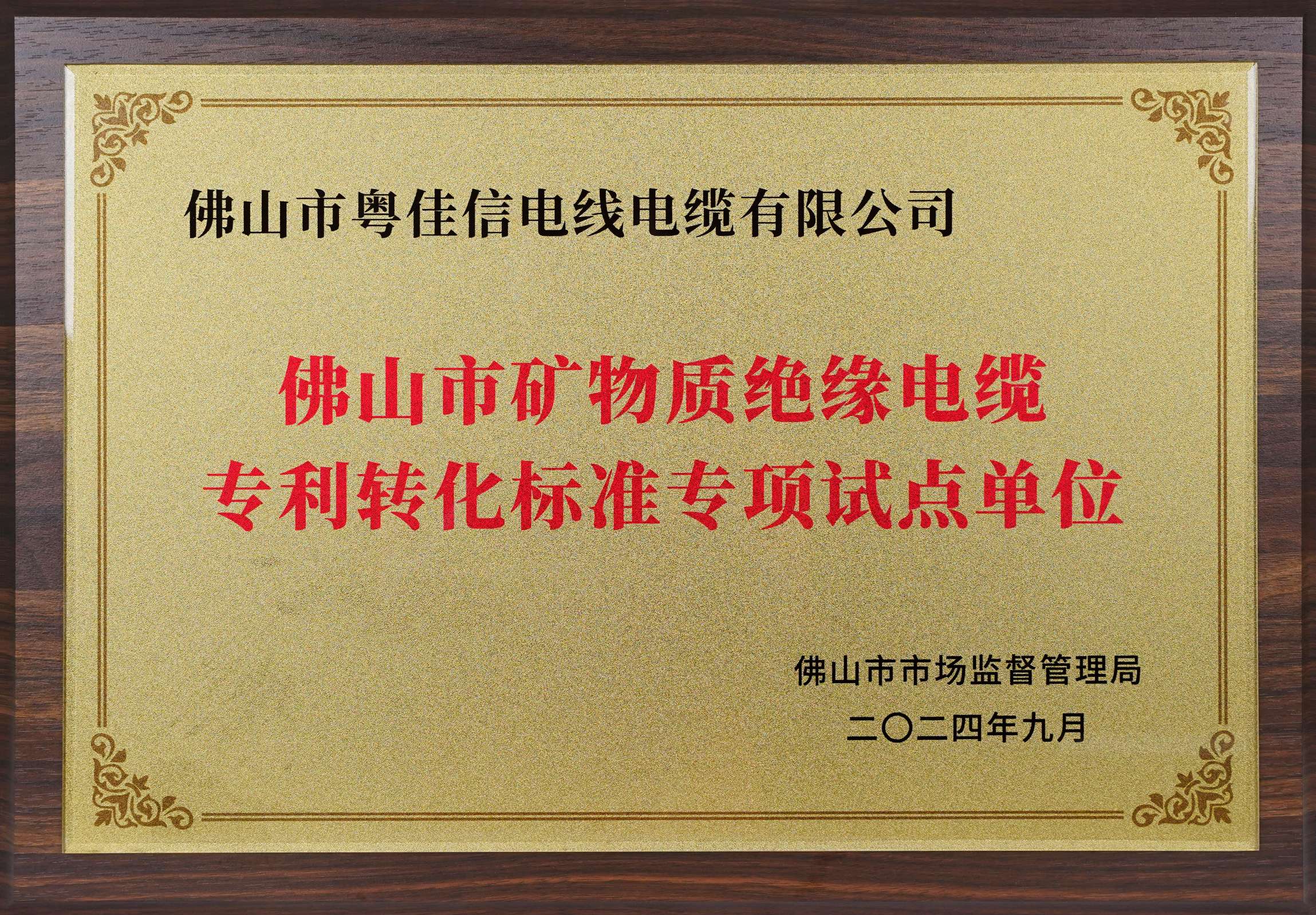 佛山市礦物質(zhì)絕緣電纜專利轉(zhuǎn)化標(biāo)準(zhǔn)專項(xiàng)試點(diǎn)單位(1)